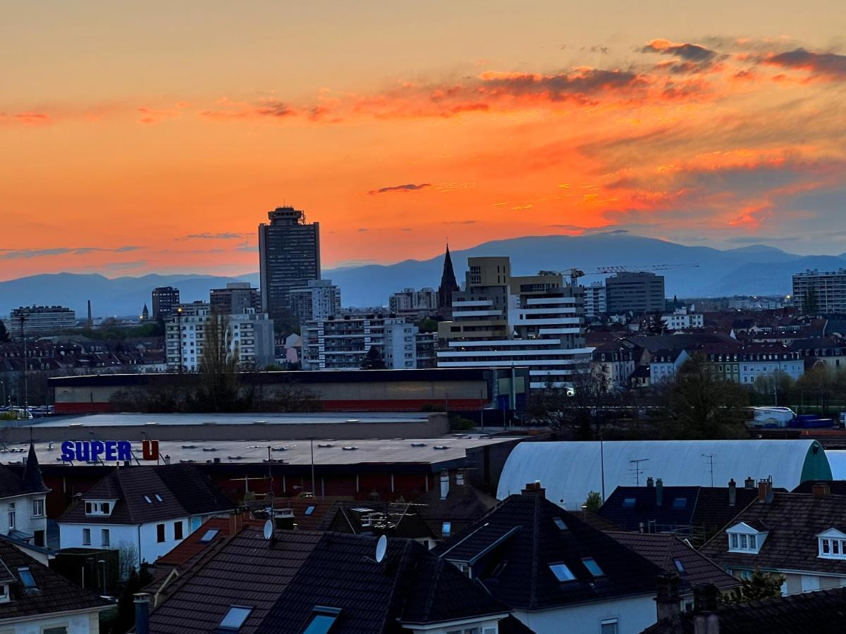 Le Panorama Du Murat Mulhouse Riedisheim 68 Haut-Rhin Alsace Saint-Louis Екстер'єр фото
