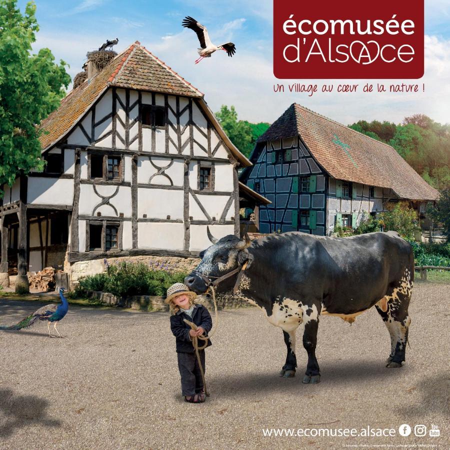 Le Panorama Du Murat Mulhouse Riedisheim 68 Haut-Rhin Alsace Saint-Louis Екстер'єр фото