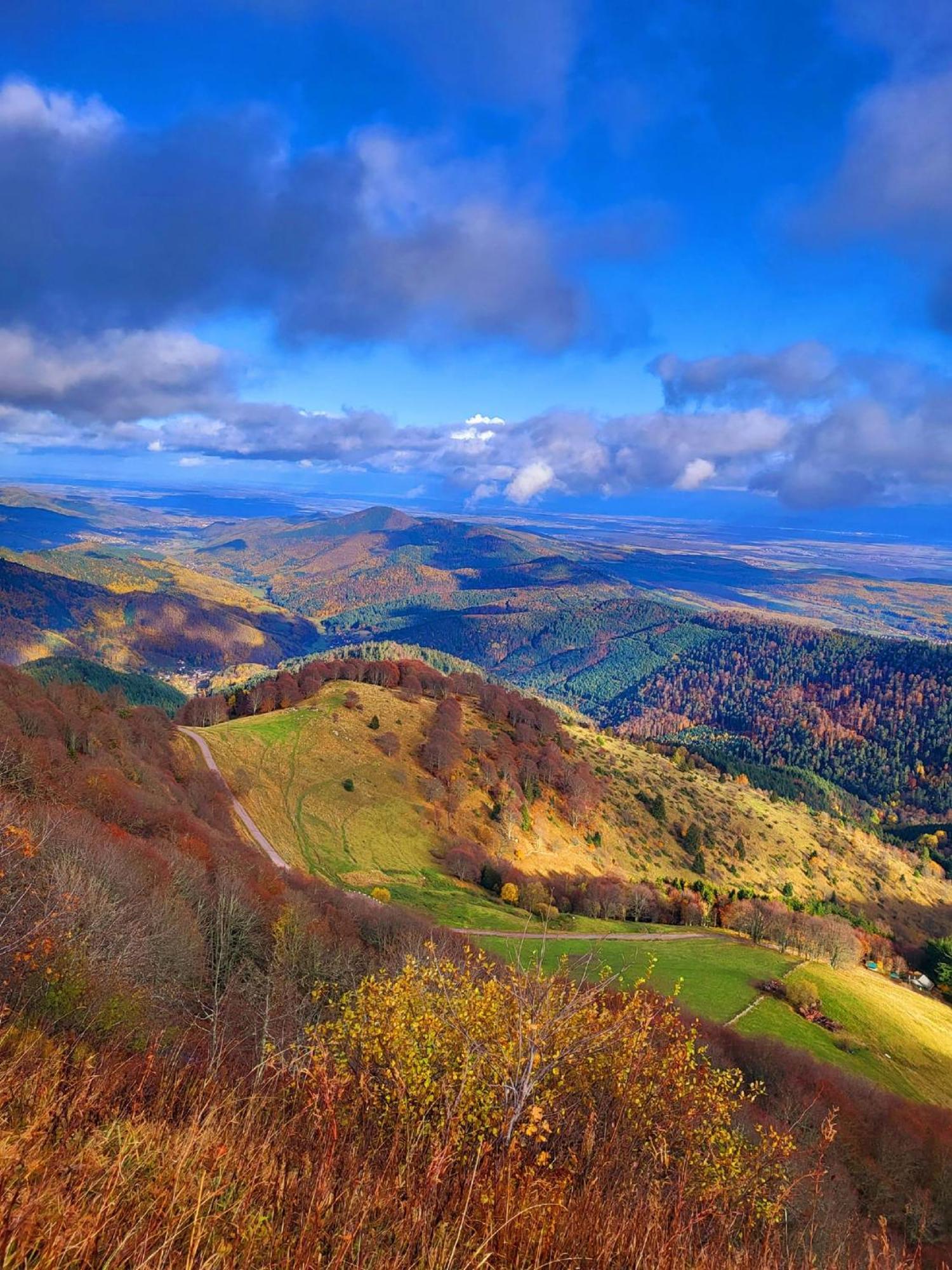 Le Panorama Du Murat Mulhouse Riedisheim 68 Haut-Rhin Alsace Saint-Louis Екстер'єр фото