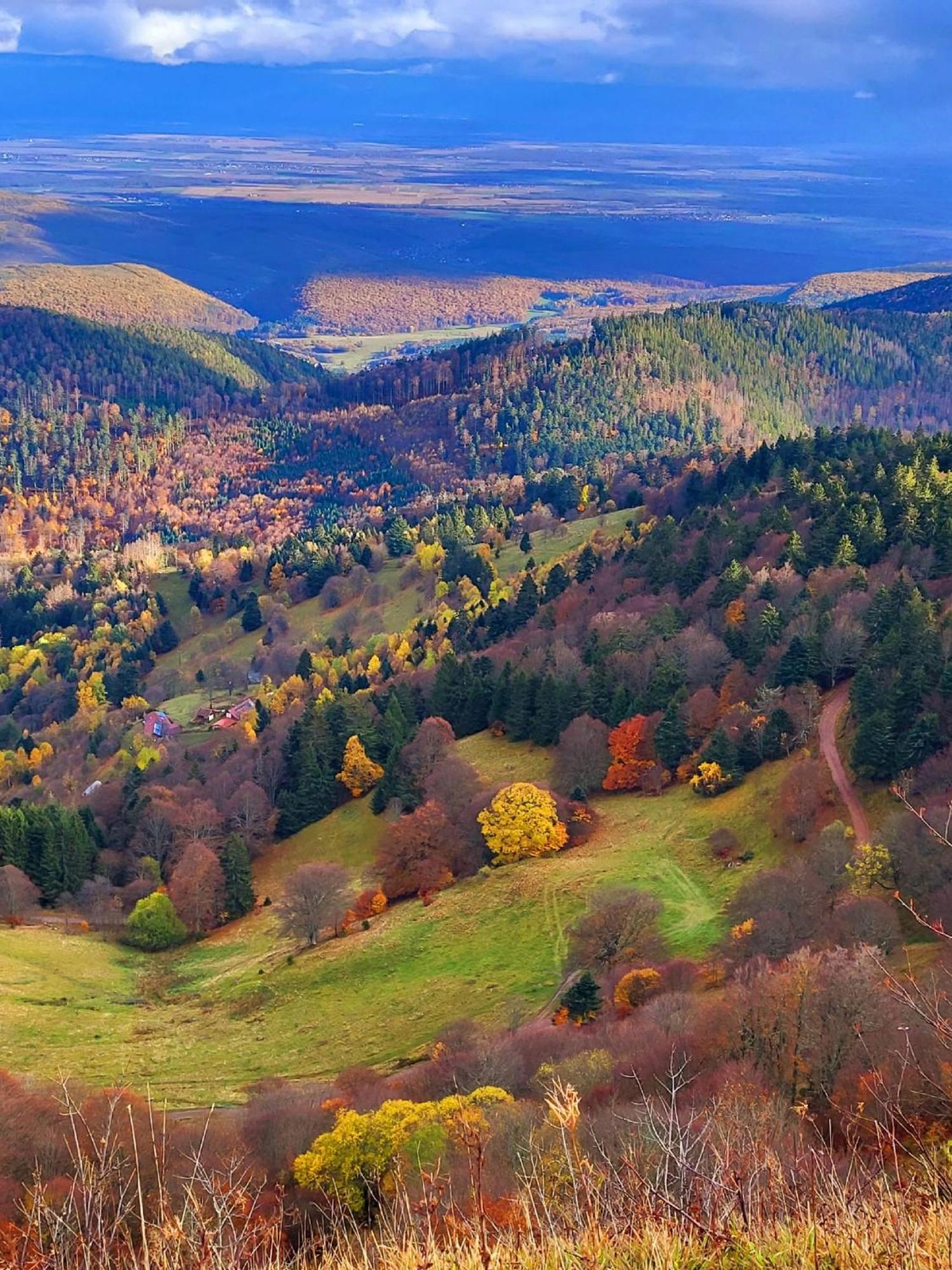 Le Panorama Du Murat Mulhouse Riedisheim 68 Haut-Rhin Alsace Saint-Louis Екстер'єр фото